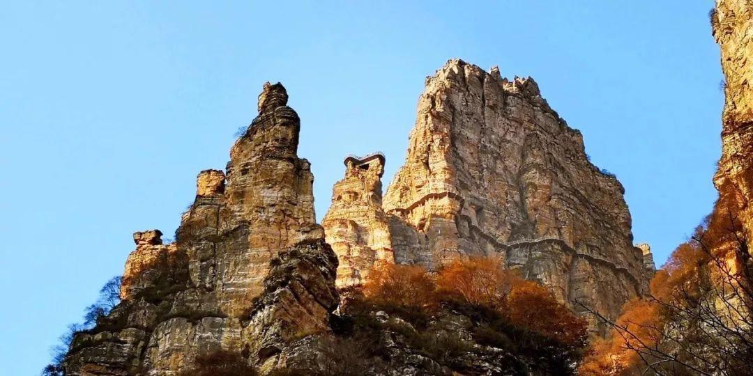 拯救精灵的土地10