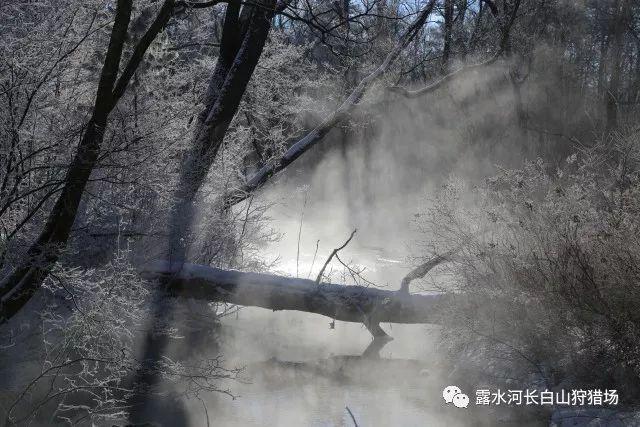 奇幻恐龙世界2
