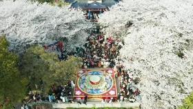 绵阳开元电力（集团）股份有限公司分红公告