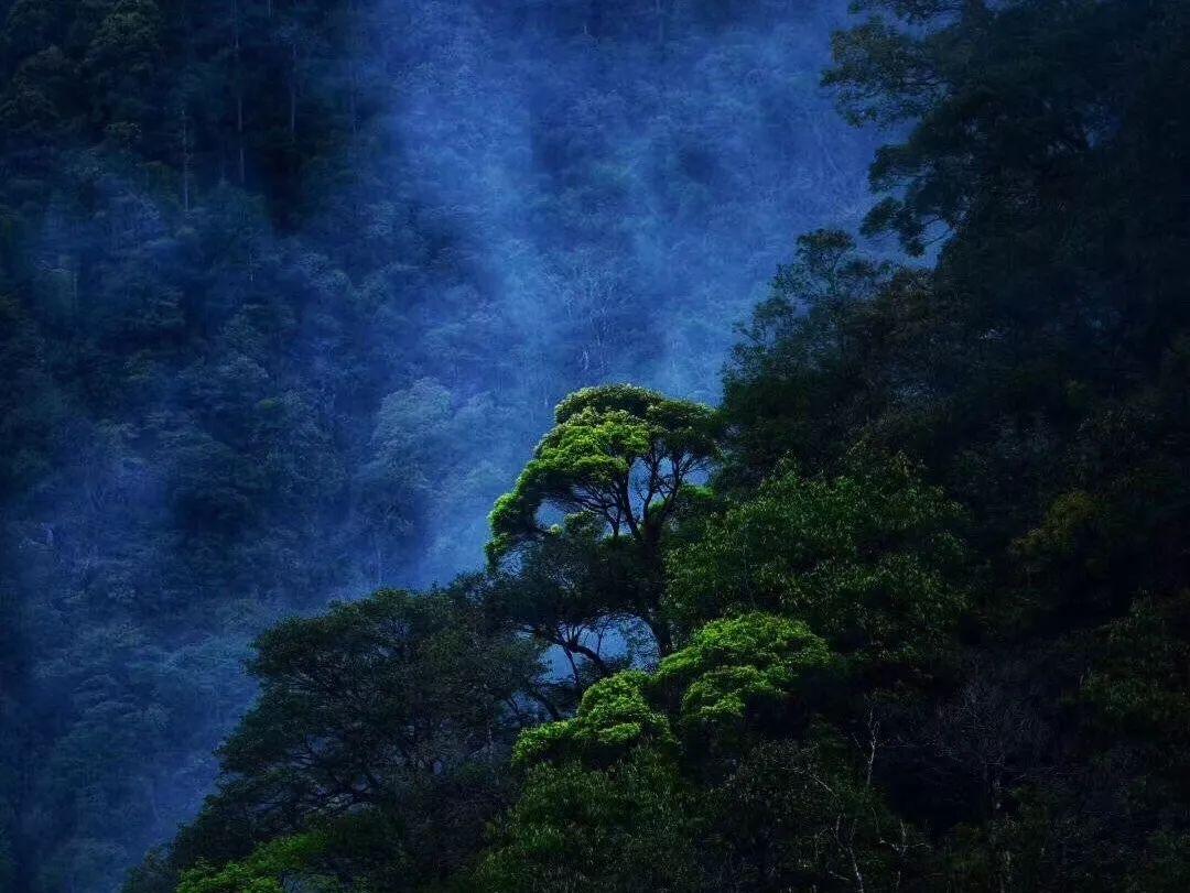 探索1.不定方程 36x+27y=19 的解的个数是 __ 个?——你的知识星球导航