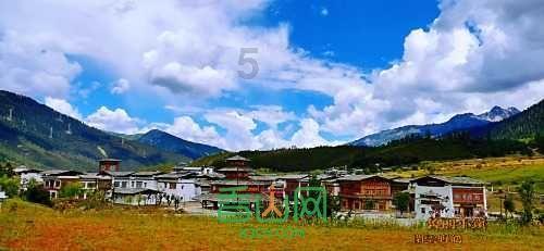 厦门口岸迎来单航次最大批量汽车海运出口