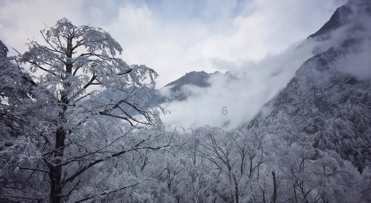 诡秘游戏