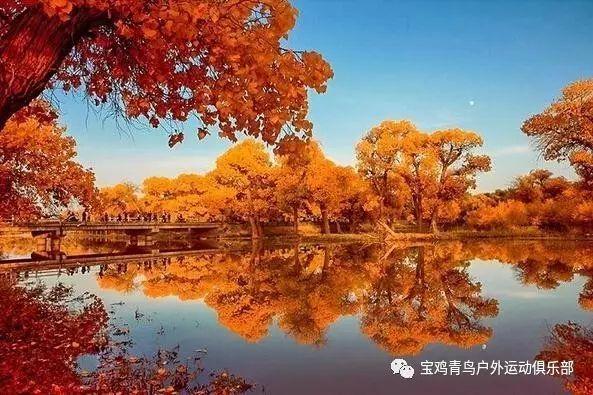 你最不能接受你对象做什么工作？游戏画面