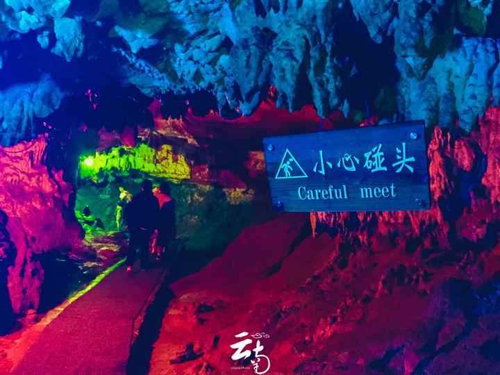 雪后,这片1500年的古楠木森林美成了“童话世界”