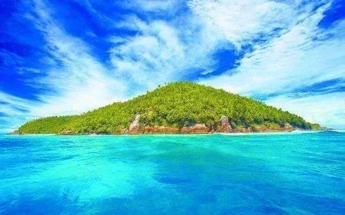 红树林逃生