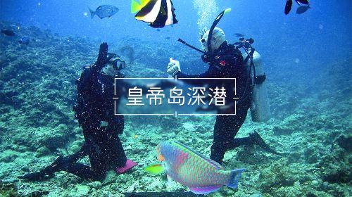 虫虫助手下载