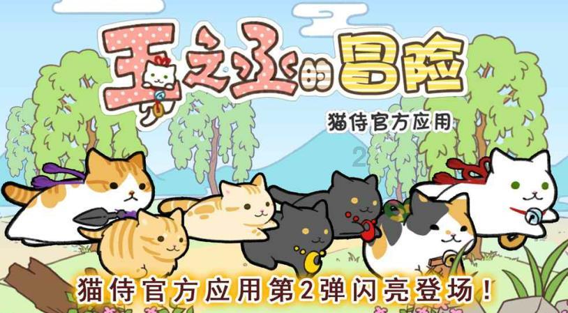 世纪之案