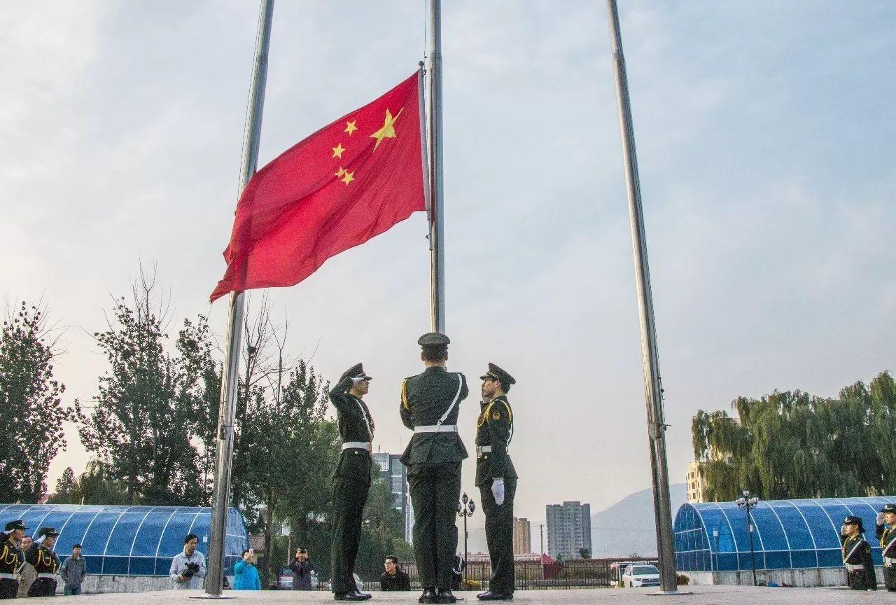 寻找奈良树花
