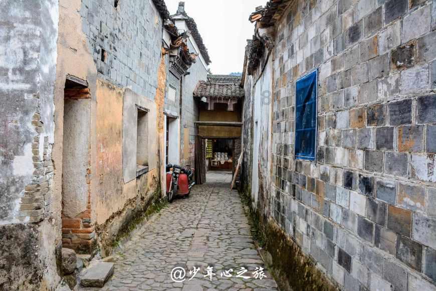 漂亮鹦鹉救援