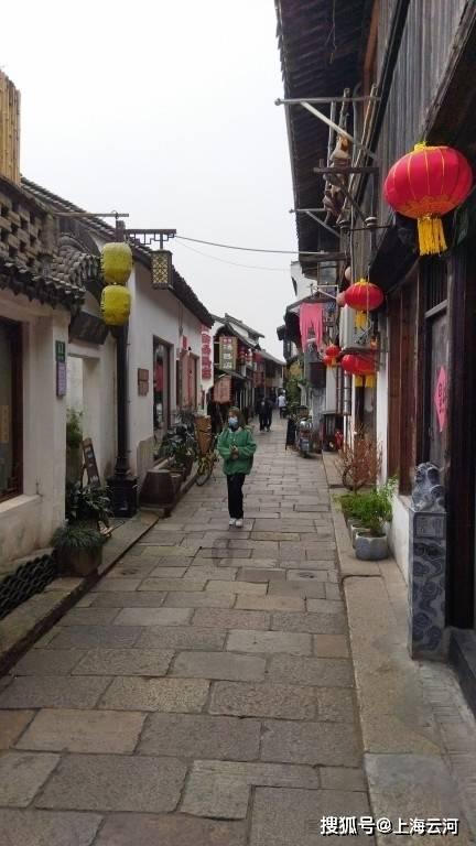 救援受困的鹭